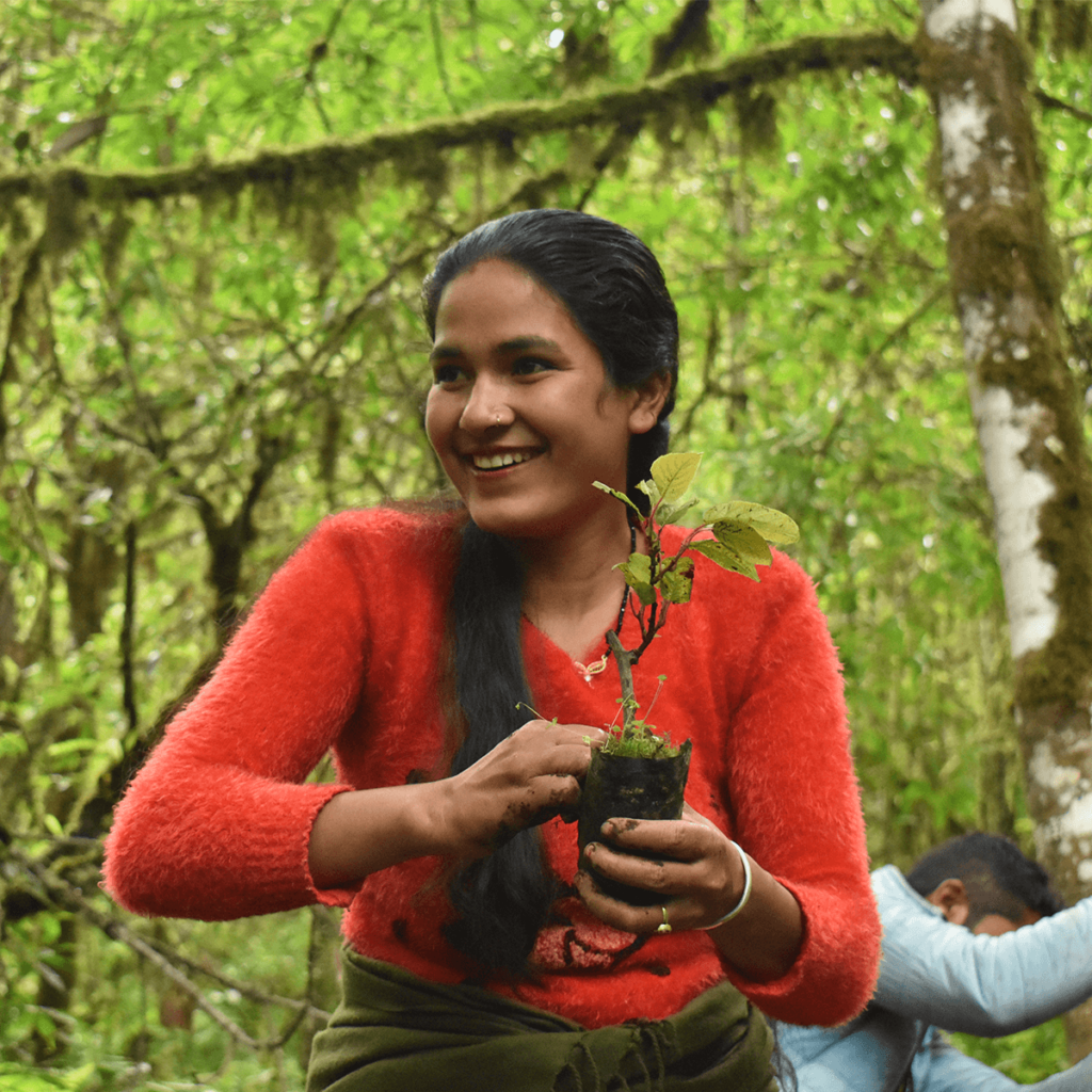 Het Gaia Nature Fund steunt de herbebossing in Nepal sinds 2022
