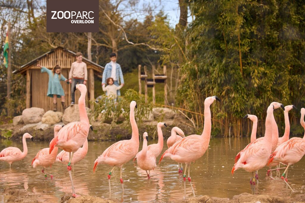 ZooParc Overloon 