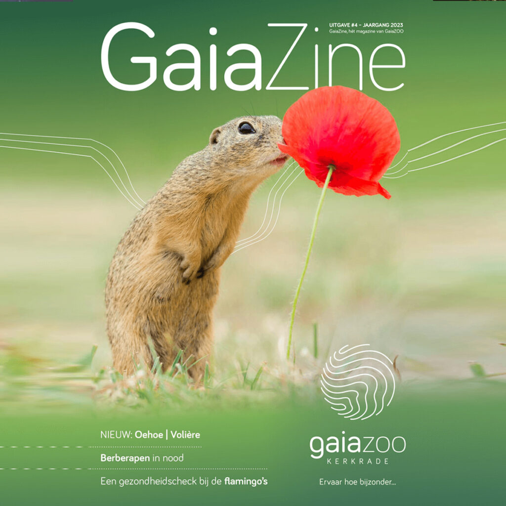 GaiaZine 2023
